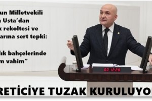 Alım Fiyatı En Az 250 TL Olmalı